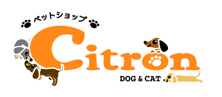 company_logo