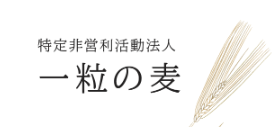 SHIARAHA 2019採用サイト